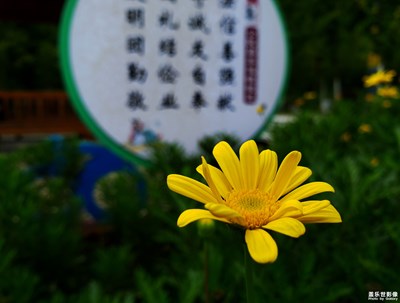 发现美