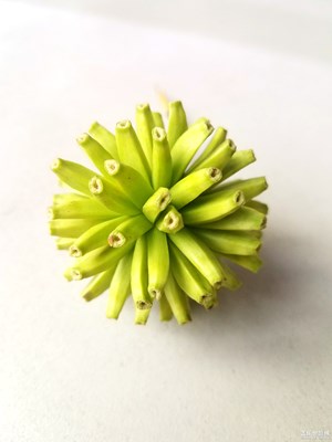 拍个球
