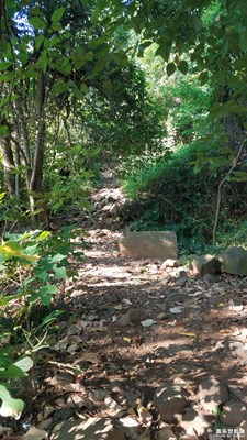 上山随拍