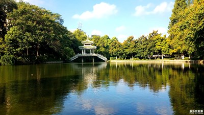 【城市足印】+公园的水边