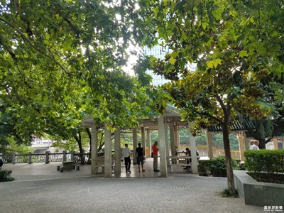 小花园与桥