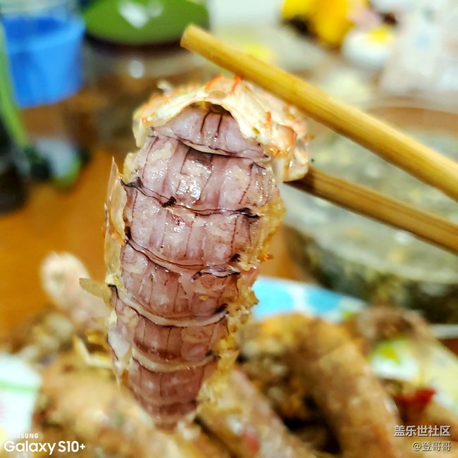 【登哥DIY日常】60块钱暴力搞定椒盐皮皮虾，要不要来试试？