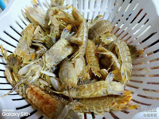 【登哥DIY日常】60块钱暴力搞定椒盐皮皮虾，要不要来试试？