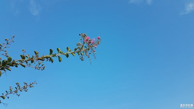 服务区的天空及水处理