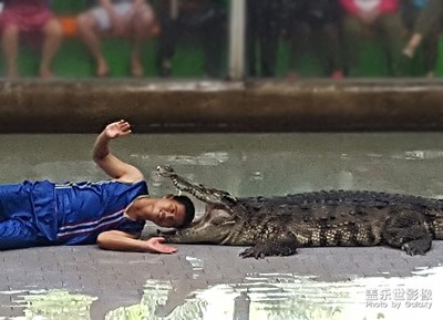 泰国漫游随拍（2）