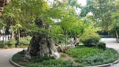 园林管理处