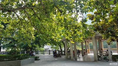 【最夏天】+早晨的小花园