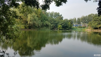 【最夏天】+荒废的公园
