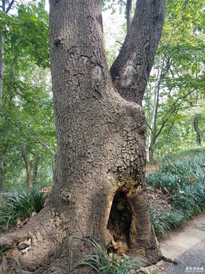 是谁？