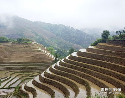 梦幻龙脊