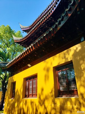 光影斑驳  岁月静好