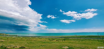 青海湖美景