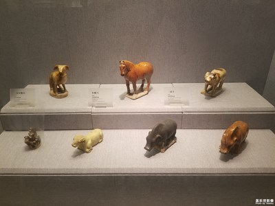 洛阳博物馆之行