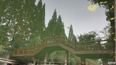 水中的公园