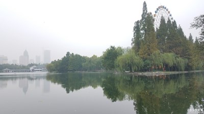 公园的水边