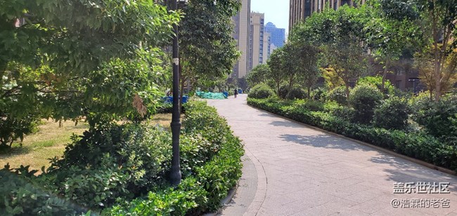 先行者，山东临沂9月9日到货，密斯白，拍照测试