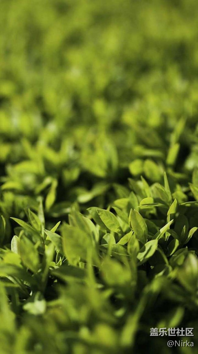 4k漂亮系列壁纸550dpi，现已打包上传（44）