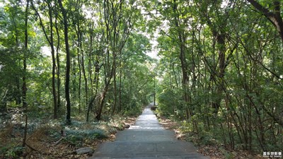 下山的路