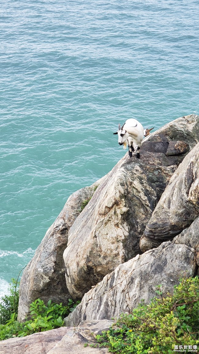 【每周星鲜事05】长假将至你准备好了吗? 【每周星鲜事05】长假将至你准备好了吗?