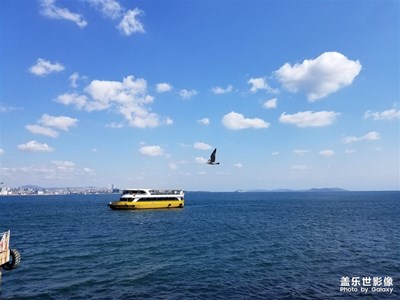 【团圆节】+土耳其买买买回来过中秋节