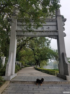 包河