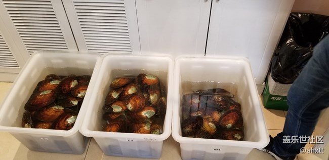 北京星部落9月线下活动——手上功夫