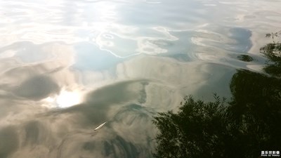 水中的天