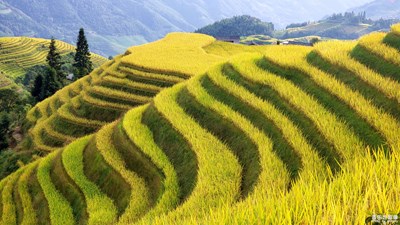 【国庆游记】+一组龙脊梯田美图献给伟大的祖国七十大寿