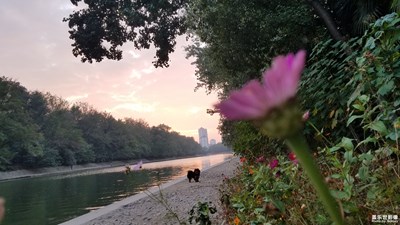河边的晚霞