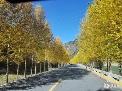 十一自驾途经青海门源 路过祁连山脚下