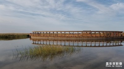 【爱在深秋】+居延海 自驾游