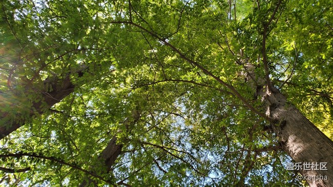 Note 10 拍照  风景