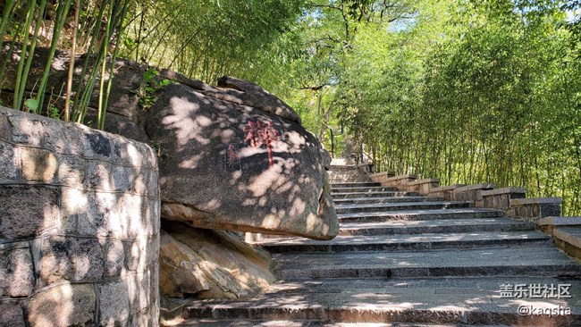 Note 10 拍照  风景