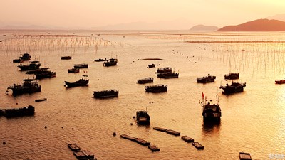 【瑰丽时分】+夕阳之歌