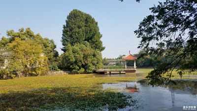 【瑰丽时分】+废弃公园的美丽