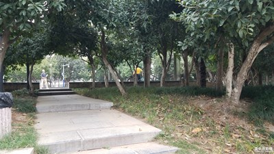 【你眼中的美景】+清净的小花园