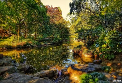 【你眼中的美景】+秋霞圃的深秋