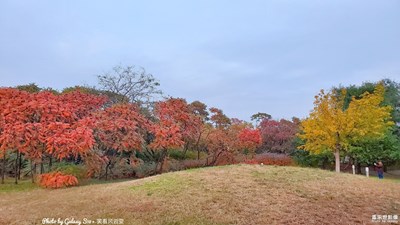 已开奖【盖乐世影像周赛第114期】——晚秋光影