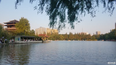 【晚秋光影】+去年的秋日