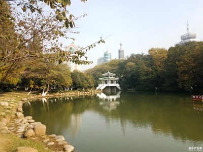 【晚秋光影】+暖暖秋日阳光下的银河公园
