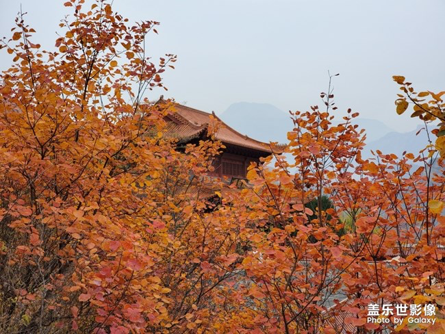 【每周星鲜事】第11期：什么才是你认为的暖胃好食呢？