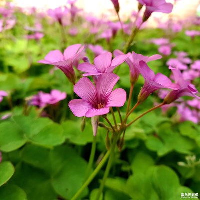 生活的色彩