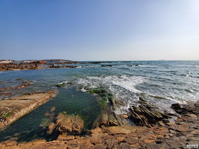 秋海