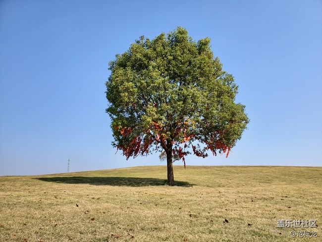 【Galaxy Note10系列星粉体验活动】宽阔方寸间，海纳您视界