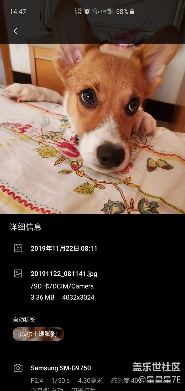 三星相册厉害啊