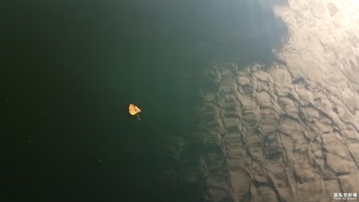 【倒影】+桥和河的一天