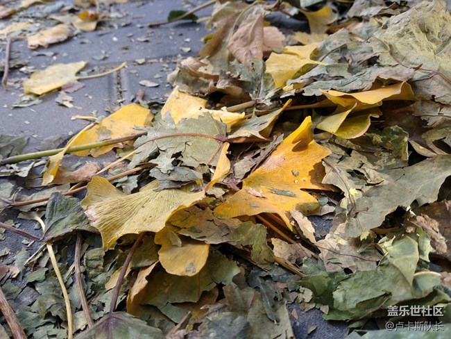 千元超广角 三星A20s将视界尽收眼底