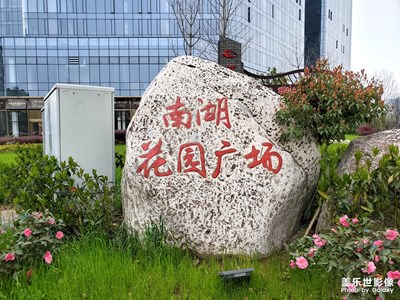【享拍一刻】+有时随手的一拍，可以欣赏很久