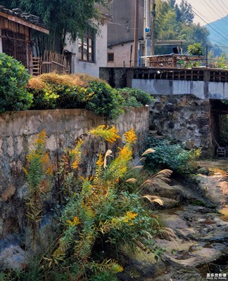 静谧山林