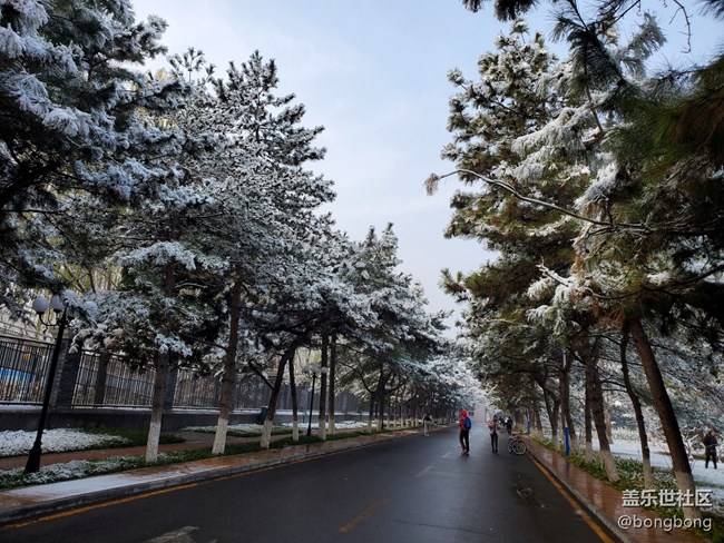 如何在“朋友圈晒初雪大赛”中脱颖而出？